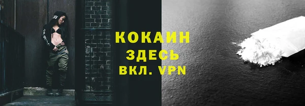 PSILOCYBIN Кулебаки