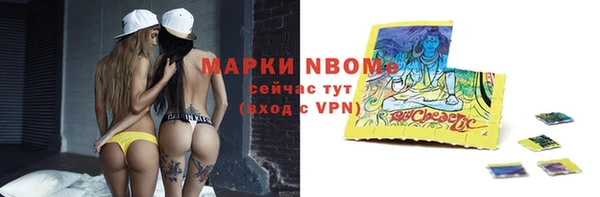 PSILOCYBIN Кулебаки