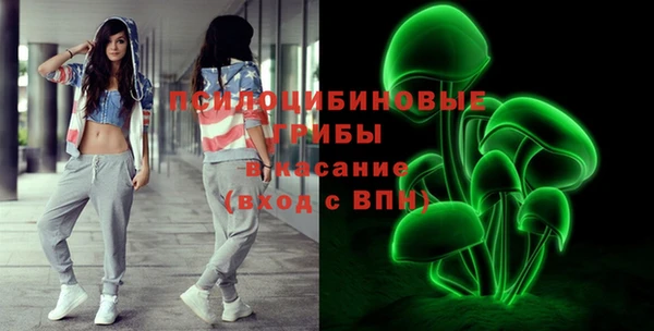 PSILOCYBIN Кулебаки