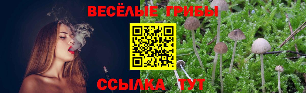 Холмск  Галлюциногенные грибы GOLDEN TEACHER  продажа наркотиков  Вход с VPN  Псилоцибиновые грибы Magic Shrooms 